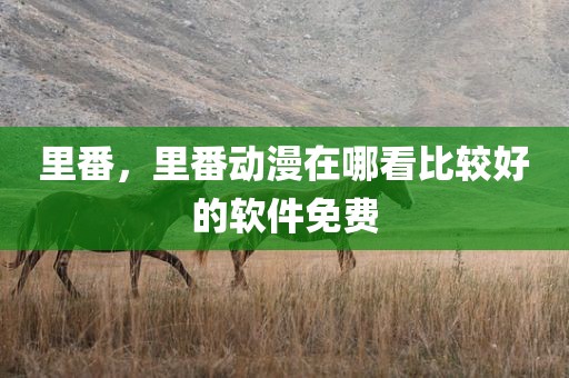 里番，里番动漫在哪看比较好的软件免费
