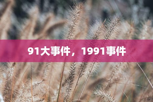 91大事件，1991事件