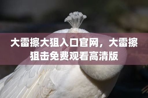 大雷擦大狙入口官网，大雷擦狙击免费观看高清版