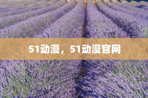 51动漫，51动漫官网