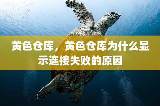 黄色仓库，黄色仓库为什么显示连接失败的原因
