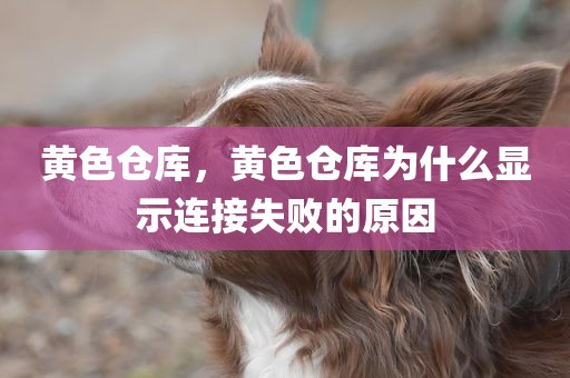 黄色仓库，黄色仓库为什么显示连接失败的原因