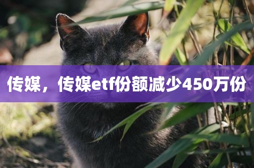 传媒，传媒etf份额减少450万份