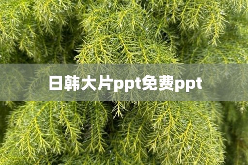 日韩大片ppt免费ppt