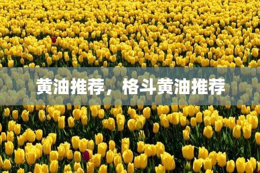 黄油推荐，格斗黄油推荐