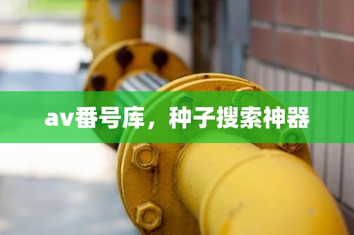 av番号库，种子搜索神器