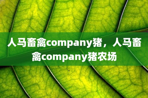 人马畜禽company猪，人马畜禽company猪农场
