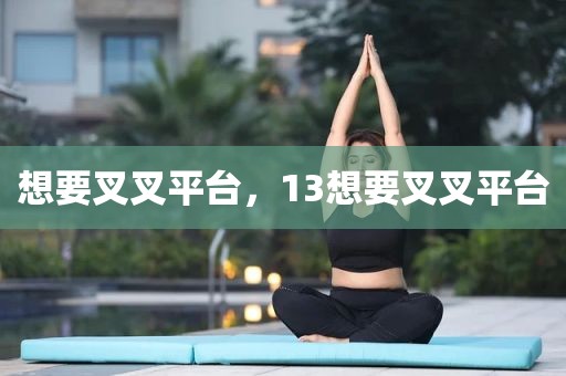 想要叉叉平台，13想要叉叉平台