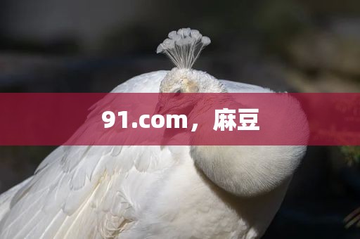 91.com，麻豆