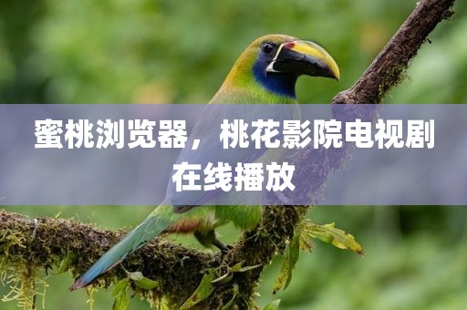 蜜桃浏览器，桃花影院电视剧在线播放