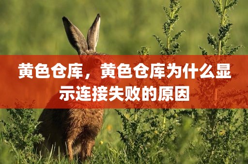 黄色仓库，黄色仓库为什么显示连接失败的原因