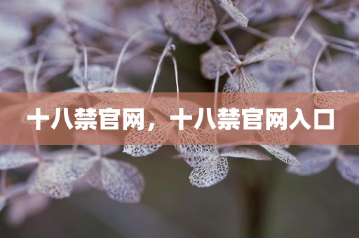 十八禁官网，十八禁官网入口