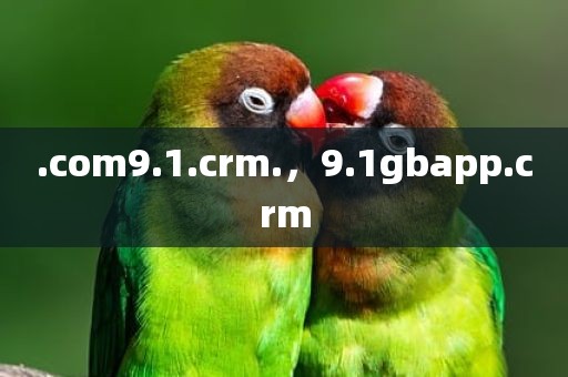 .com9.1.crm.，9.1gbapp.crm
