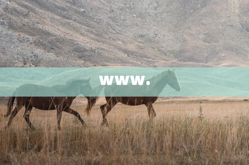 www.
