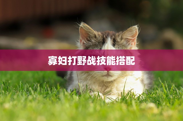 寡妇打野战技能搭配