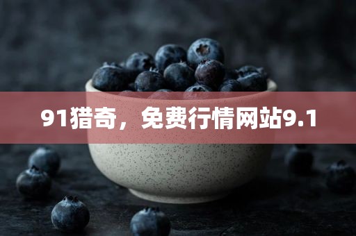 91猎奇，免费行情网站9.1