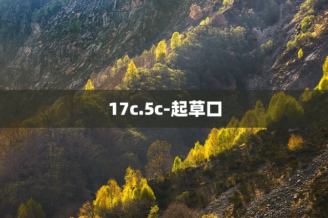17c.5c-起草口