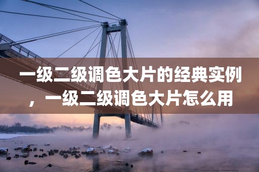 一级二级调色大片的经典实例，一级二级调色大片怎么用