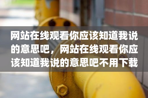 网站在线观看你应该知道我说的意思吧，网站在线观看你应该知道我说的意思吧不用下载
