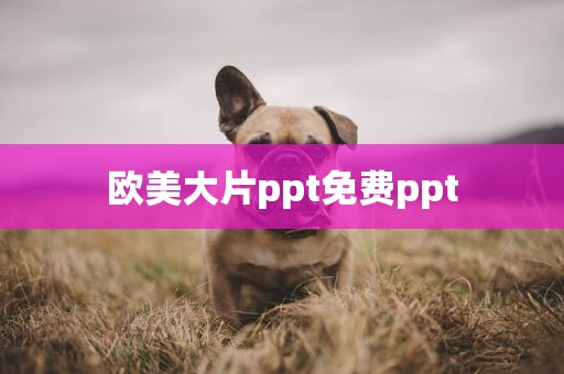 欧美大片ppt免费ppt