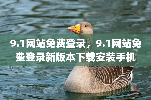 9.1网站免费登录，9.1网站免费登录新版本下载安装手机