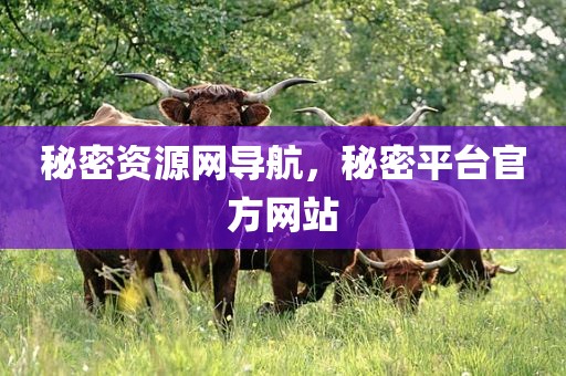 秘密资源网导航，秘密平台官方网站