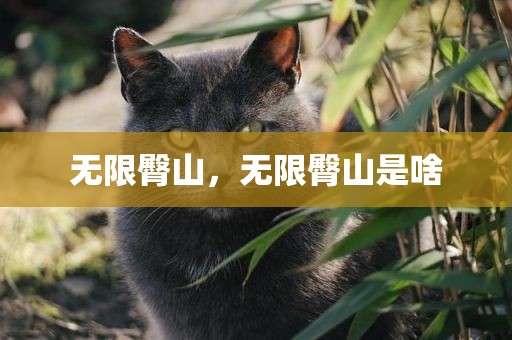 无限臀山，无限臀山是啥