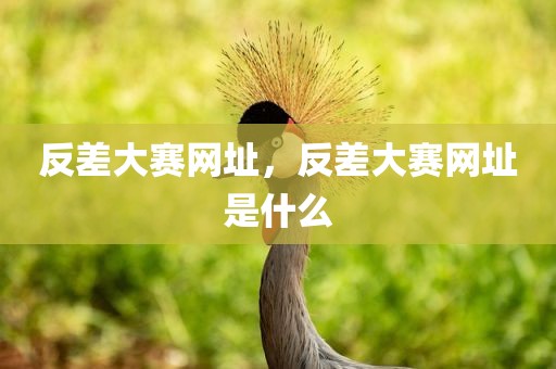 反差大赛网址，反差大赛网址是什么