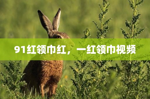 91红领巾红，一红领巾视频