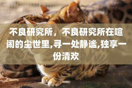 不良研究所，不良研究所在喧闹的尘世里,寻一处静谧,独享一份清欢