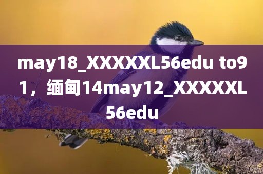 may18_XXXXXL56edu to91，缅甸14may12_XXXXXL56edu