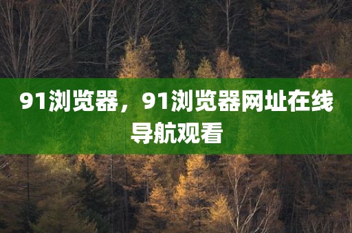 91浏览器，91浏览器网址在线导航观看