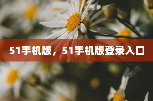 51手机版，51手机版登录入口