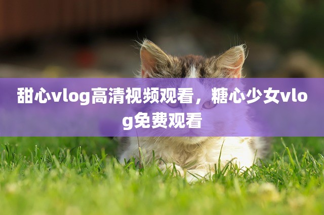 甜心vlog高清视频观看，糖心少女vlog免费观看
