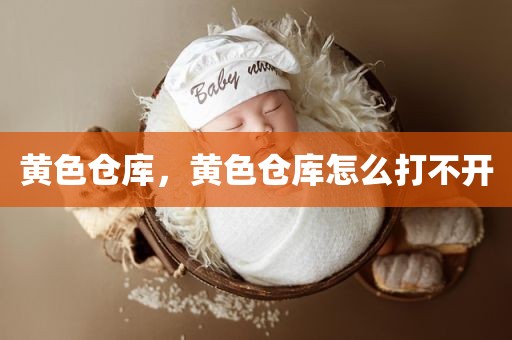 黄色仓库，黄色仓库怎么打不开