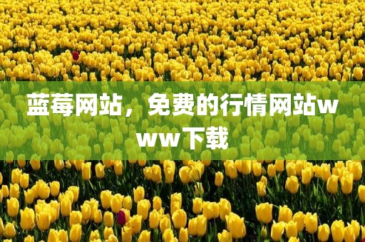 蓝莓网站，免费的行情网站www下载