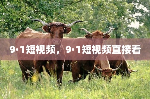 9·1短视频，9·1短视频直接看