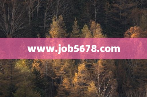 www.job5678.com