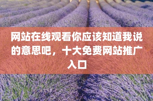 网站在线观看你应该知道我说的意思吧，十大免费网站推广入口