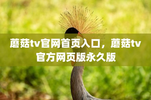 蘑菇tv官网首页入口，蘑菇tv官方网页版永久版