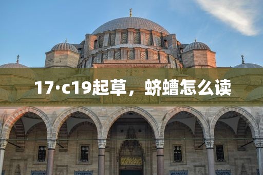 17·c19起草，蛴螬怎么读