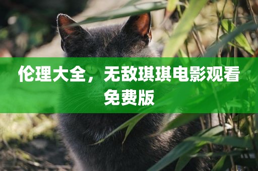 伦理大全，无敌琪琪电影观看免费版