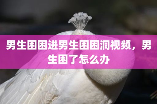 男生困困进男生困困洞视频，男生困了怎么办