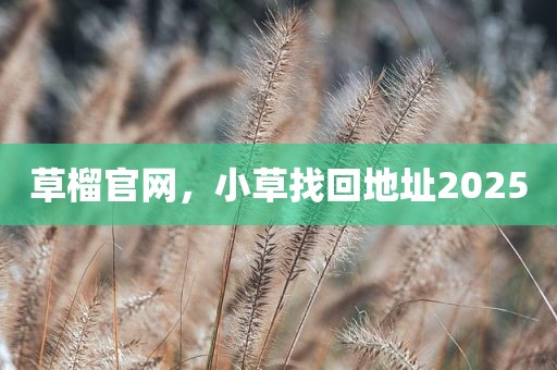 草榴官网，小草找回地址2025