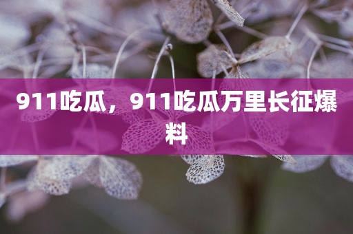 911吃瓜，911吃瓜万里长征爆料