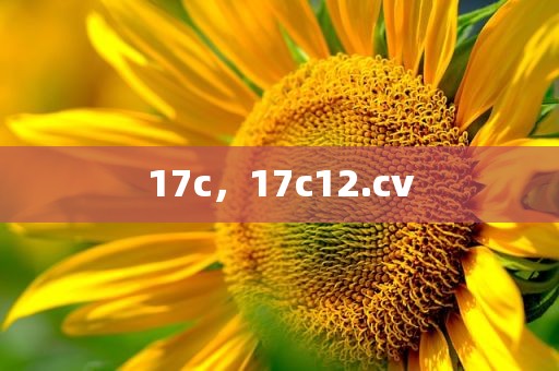 17c，17c12.cv