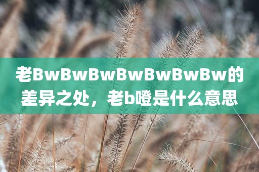 老BwBwBwBwBwBwBw的差异之处，老b噔是什么意思