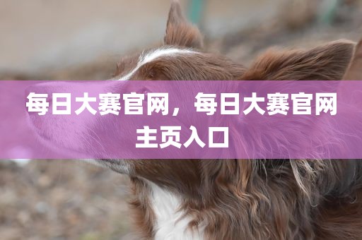 每日大赛官网，每日大赛官网主页入口