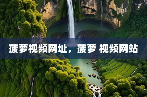 菠萝视频网址，菠萝 视频网站