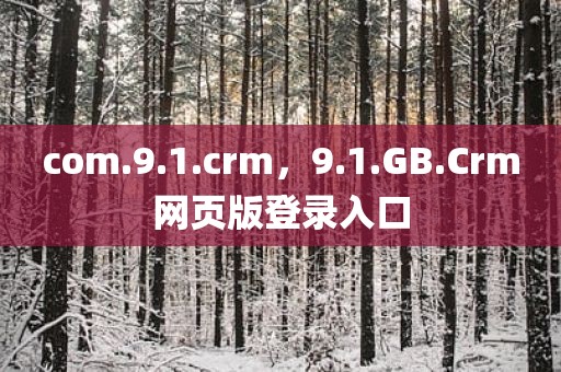 com.9.1.crm，9.1.GB.Crm网页版登录入口